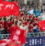 圣埃蒂安遭遇连败，球迷呼吁支持的简单介绍